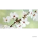 Плитка Opoczno Early Spring PANNO FLOWER декор2 10×600×594