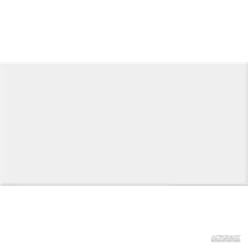Плитка Vives Rivoli BLANCO BRILLO 7×200×100