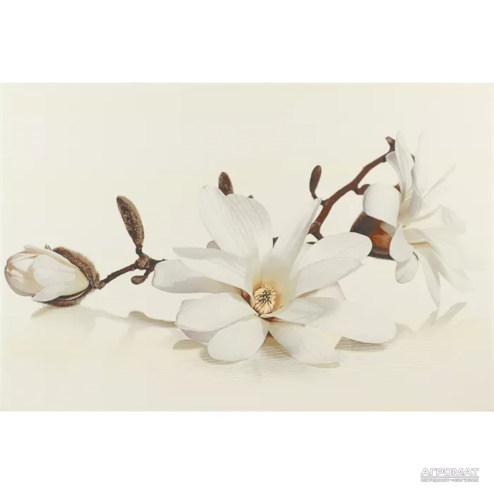 Плитка Opoczno Flora MAGNOLIA декор 9×450×300