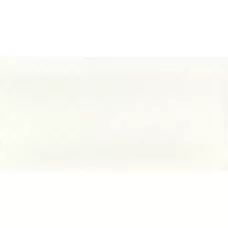 Плитка Paradyz TONNES BIANCO SCIANA KRATKA