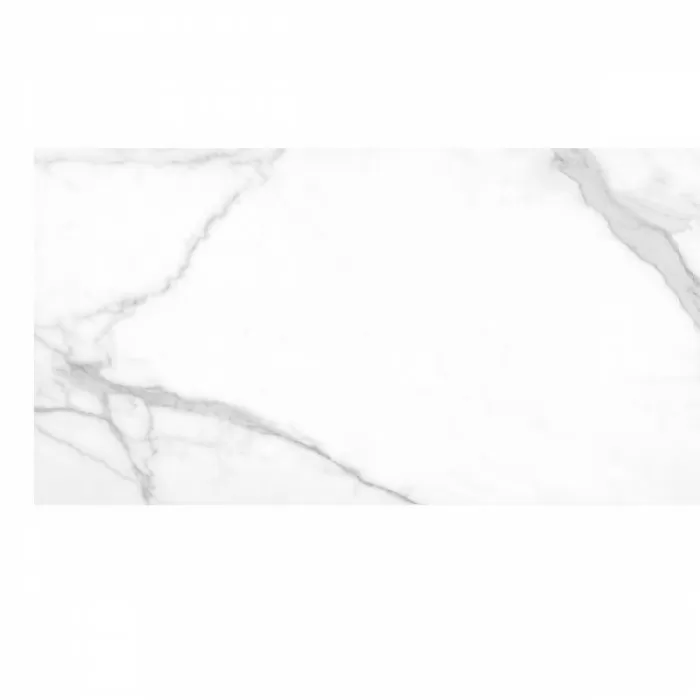 Керамогранит Argenta Ceramica Tholos White NATURAL