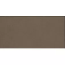 Плитка підлогова Intero Brown RECT MAT 44,8x89,8 код 0674 Ceramika Paradyz