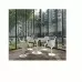 Плитка для пола  Плитка FLORIM GROUP REVES 769929 REVES DE REX CHOCO MAT 6MM 6×1200×600