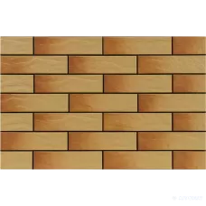 Клінкер Cerrad Gobi Rustico 6,5x24,5 см