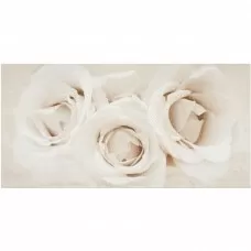 Декор Opoczno CAMELIA INSERTO FLOWER 9×600×297 для ванной и кухни